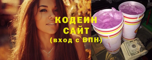 индика Горно-Алтайск