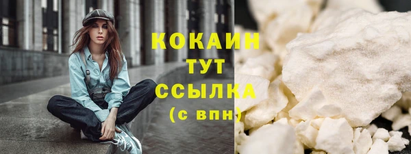 индика Горно-Алтайск