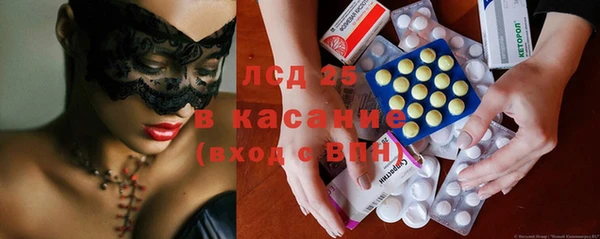 индика Горно-Алтайск