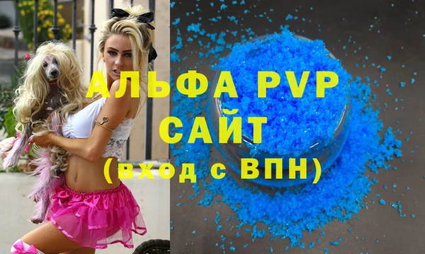 индика Горно-Алтайск