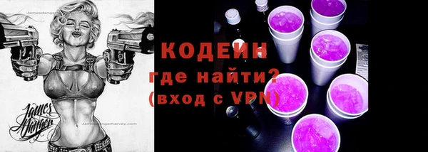 индика Горно-Алтайск