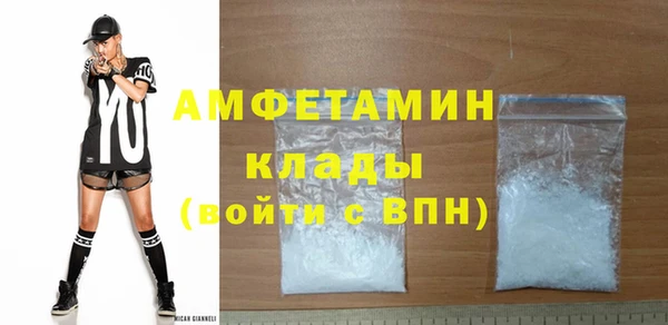 индика Горно-Алтайск