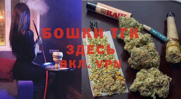 индика Горно-Алтайск