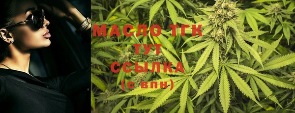 индика Горно-Алтайск