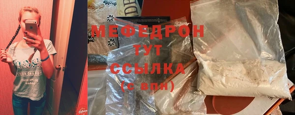 индика Горно-Алтайск