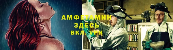 метадон Горняк